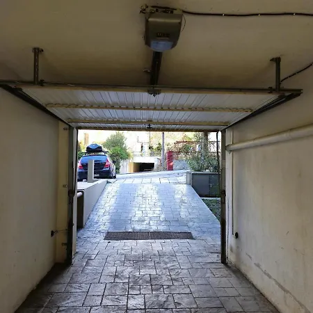 Pilea Comfy * テッサロニキ