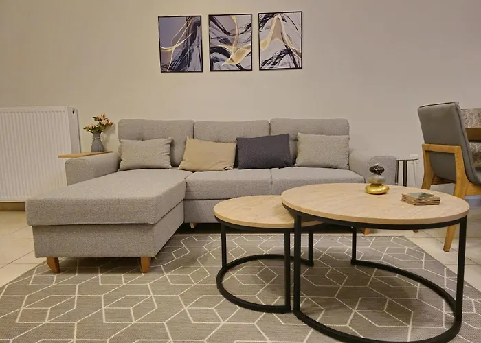 Pilea Comfy * Salonic