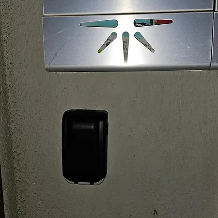 Pilea Comfy テッサロニキ